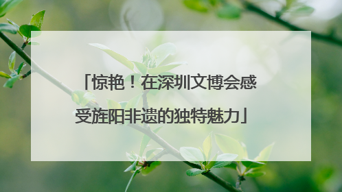 惊艳！在深圳文博会感受旌阳非遗的独特魅力