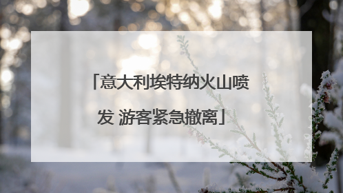 意大利埃特纳火山喷发 游客紧急撤离