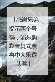 感谢兄弟提示两个号码，浦东购彩者复式票喜中大乐透头奖