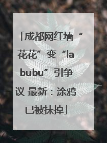 成都网红墙“花花”变“labubu”引争议 最新：涂鸦已被抹掉