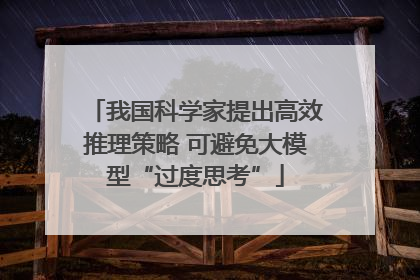 我国科学家提出高效推理策略 可避免大模型“过度思考”