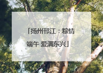 扬州邗江：粽情端午 爱满东兴