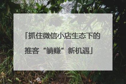 抓住微信小店生态下的推客“躺赚”新机遇