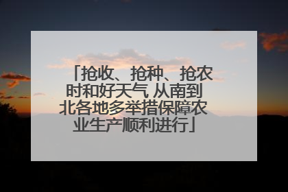 抢收、抢种、抢农时和好天气 从南到北各地多举措保障农业生产顺利进行