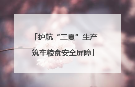 护航“三夏”生产 筑牢粮食安全屏障