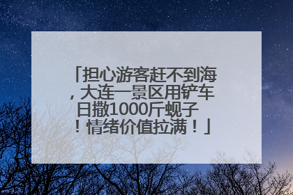 担心游客赶不到海，大连一景区用铲车日撒1000斤蚬子！情绪价值拉满！