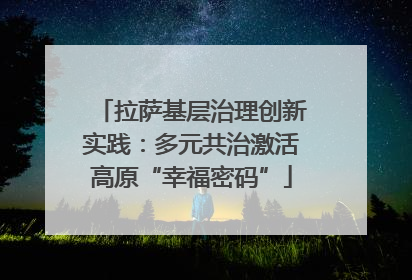 拉萨基层治理创新实践：多元共治激活高原“幸福密码”