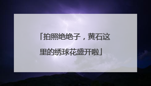 拍照绝绝子，黄石这里的绣球花盛开啦