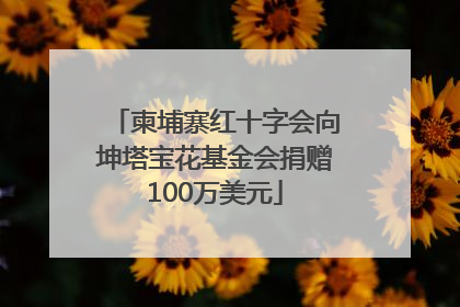 柬埔寨红十字会向坤塔宝花基金会捐赠100万美元