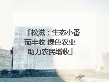 松滋：生态小番茄丰收 绿色农业助力农民增收