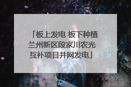 板上发电 板下种植 兰州新区段家川农光互补项目并网发电