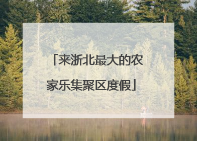 来浙北最大的农家乐集聚区度假