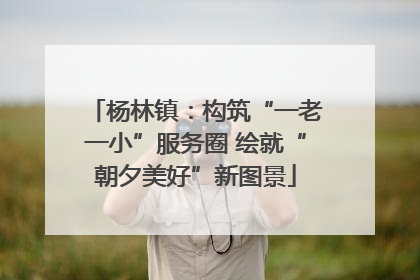 杨林镇：构筑“一老一小”服务圈 绘就“朝夕美好”新图景
