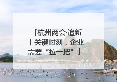 杭州两会·追新丨关键时刻，企业需要“拉一把”