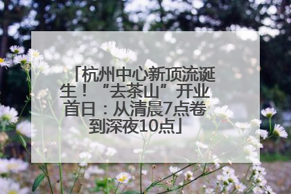 杭州中心新顶流诞生！“去茶山”开业首日：从清晨7点卷到深夜10点