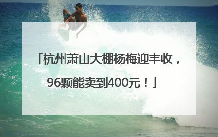 杭州萧山大棚杨梅迎丰收，96颗能卖到400元！