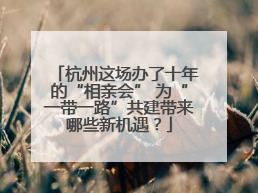 杭州这场办了十年的“相亲会” 为“一带一路”共建带来哪些新机遇？