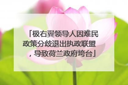 极右翼领导人因难民政策分歧退出执政联盟，导致荷兰政府垮台