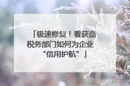 极速修复！看获嘉税务部门如何为企业“信用护航”