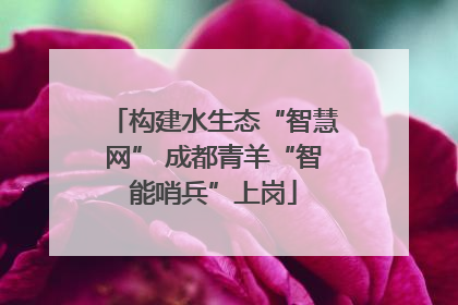 构建水生态“智慧网” 成都青羊“智能哨兵”上岗