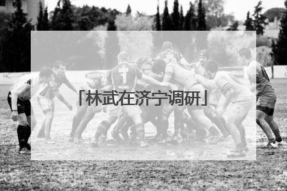 林武在济宁调研