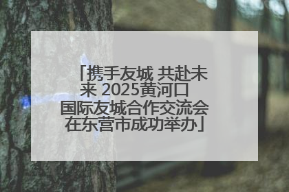 携手友城 共赴未来 2025黄河口国际友城合作交流会在东营市成功举办