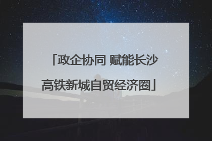 政企协同 赋能长沙高铁新城自贸经济圈