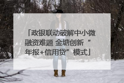 政银联动破解中小微融资难题 金塘创新“年报+信用贷”模式
