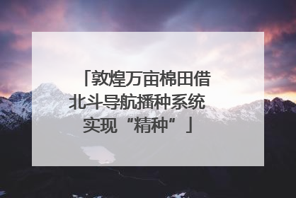 敦煌万亩棉田借北斗导航播种系统实现“精种”