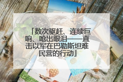 数次驱赶、连续巨响、呛出眼泪——直击以军在巴勒斯坦难民营的行动