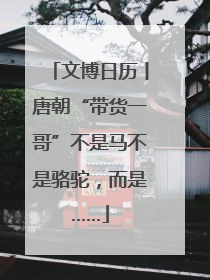 文博日历丨唐朝“带货一哥”不是马不是骆驼，而是……