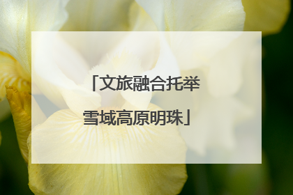 文旅融合托举雪域高原明珠