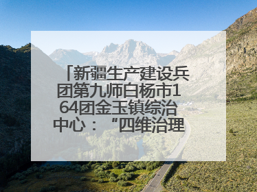 新疆生产建设兵团第九师白杨市164团金玉镇综治中心：“四维治理”淬炼边疆“枫桥样本”