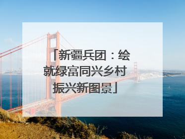 新疆兵团：绘就绿富同兴乡村振兴新图景