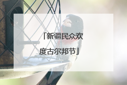 新疆民众欢度古尔邦节