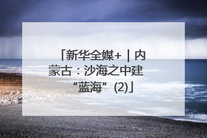 新华全媒+｜内蒙古：沙海之中建“蓝海”(2)
