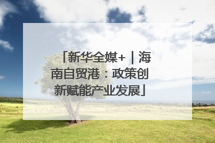 新华全媒+｜海南自贸港：政策创新赋能产业发展