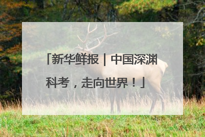 新华鲜报｜中国深渊科考，走向世界！
