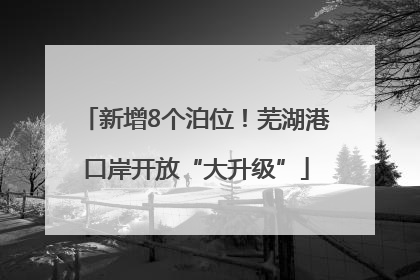 新增8个泊位！芜湖港口岸开放“大升级”