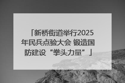 新桥街道举行2025年民兵点验大会 锻造国防建设“拳头力量”