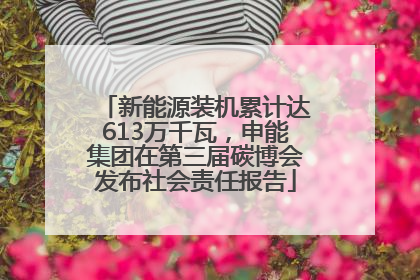 新能源装机累计达613万千瓦，申能集团在第三届碳博会发布社会责任报告