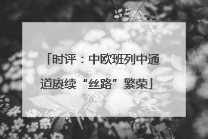 时评：中欧班列中通道赓续“丝路”繁荣