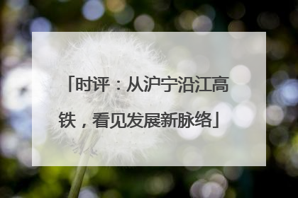 时评：从沪宁沿江高铁，看见发展新脉络