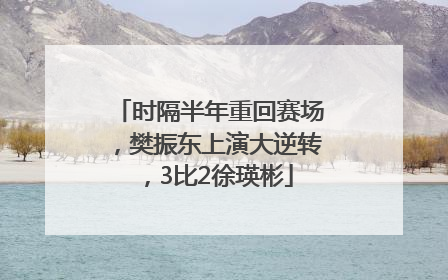 时隔半年重回赛场，樊振东上演大逆转，3比2徐瑛彬