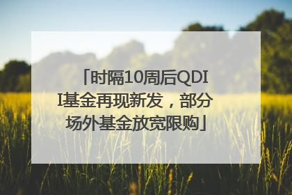时隔10周后QDII基金再现新发，部分场外基金放宽限购