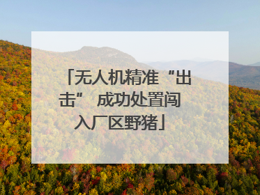 无人机精准“出击” 成功处置闯入厂区野猪