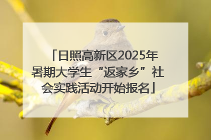 日照高新区2025年暑期大学生“返家乡”社会实践活动开始报名