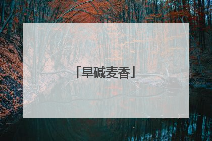 旱碱麦香