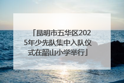 昆明市五华区2025年少先队集中入队仪式在韶山小学举行