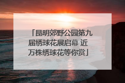 昆明郊野公园第九届绣球花展启幕 近万株绣球花等你赏